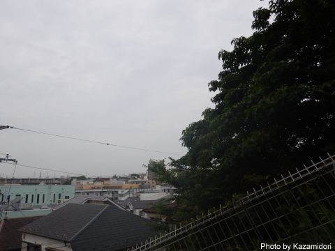 今朝の空