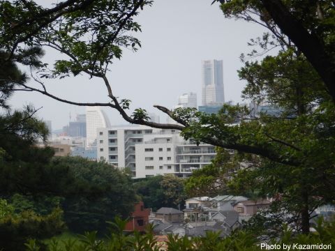 公園からの横浜遠景