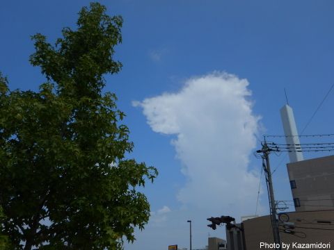 わんこ雲