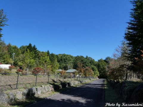 別荘地の風景