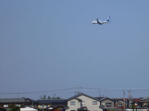 ANA B737