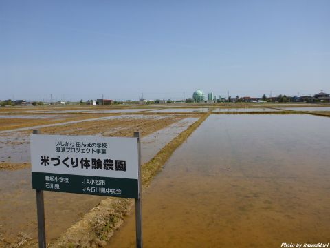 米づくり体験農園
