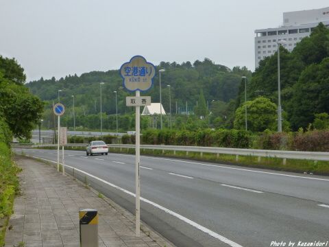 道路沿い