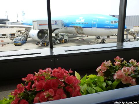 コンコースの花