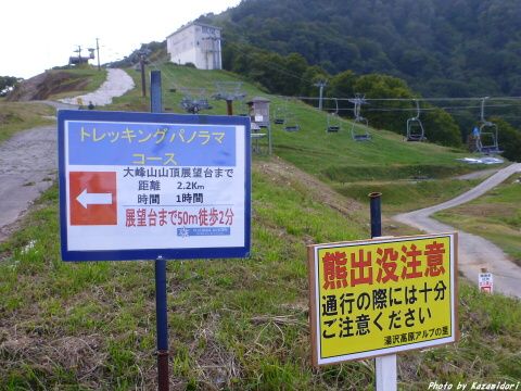 熊に注意