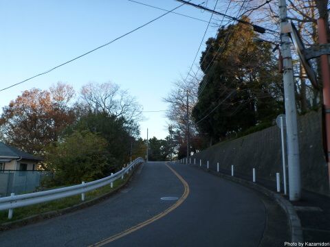 裏山への坂道