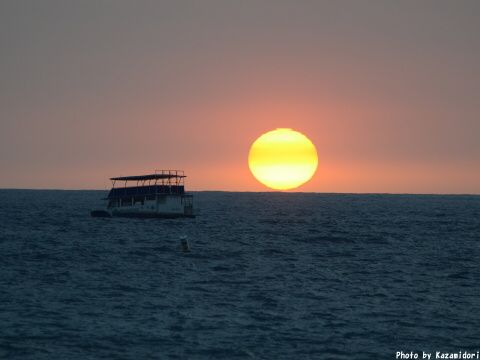 今日の夕日