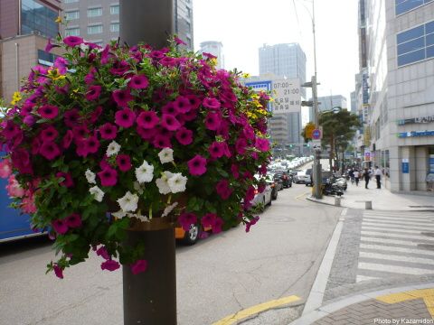 ミョンドンあたり