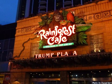 TRUMPのジャングルカフェ