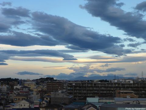 昨日の朝
