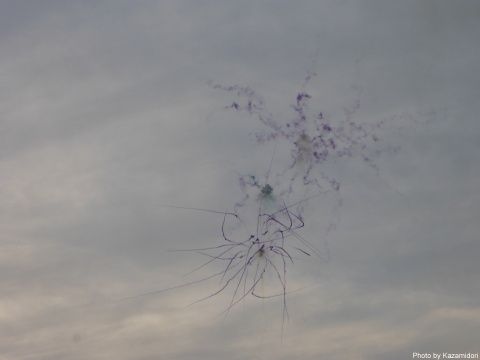 昼花火