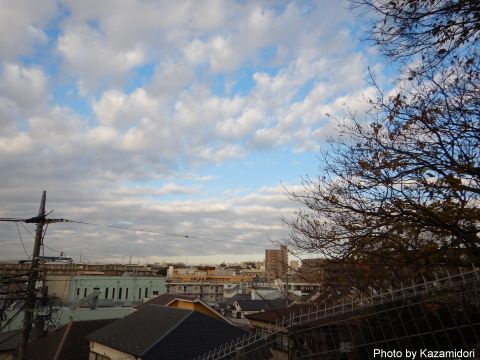 今朝の空