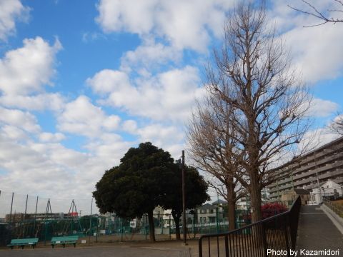 公園の景色