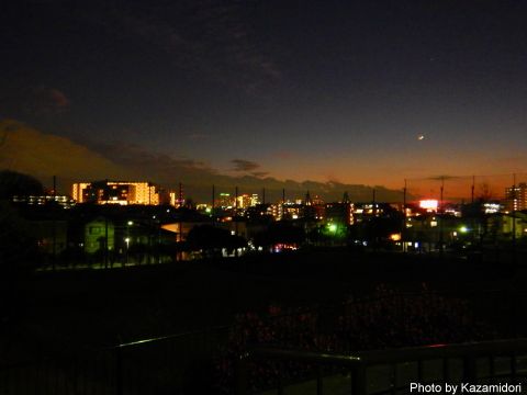 公園からの夜景