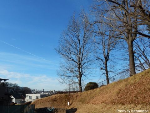 公園の景色