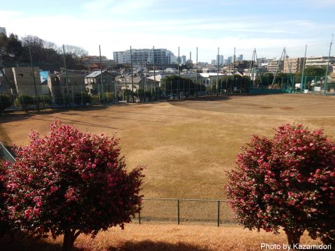 公園の景色