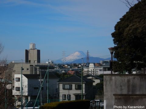 公園からの富士山