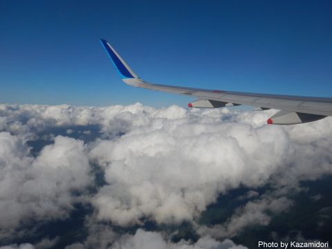 機窓からの景色