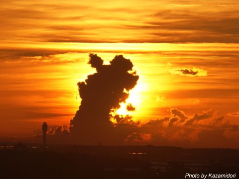 フロリダ夕景