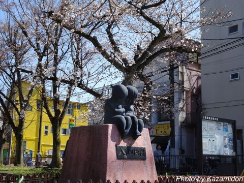 近所の桜