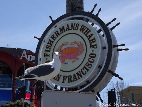 フィッシャーマンズワーフの看板とカモメ