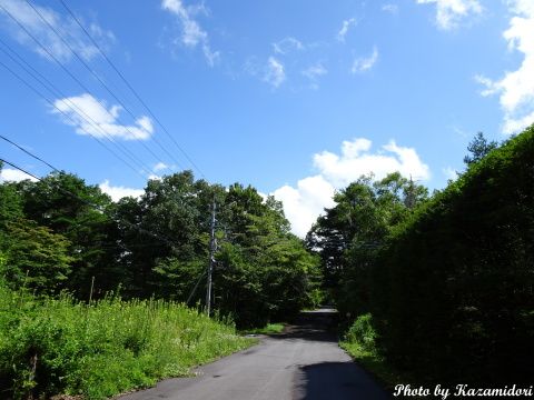 別荘地の風景