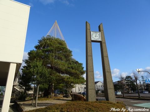 公園で