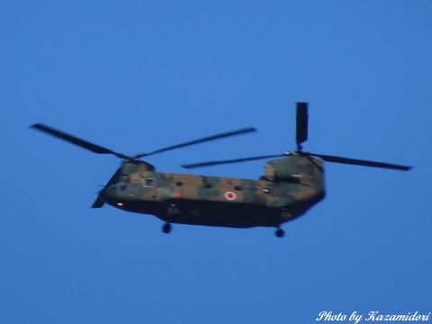 自衛隊のヘリ