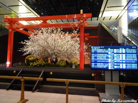 羽田空港第3ターミナルで