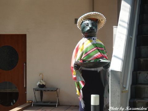 お猫様