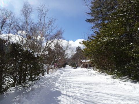 別荘地の雪景色
