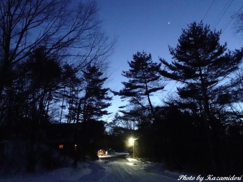 木立の上の明星