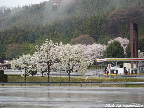 雨の横川SA