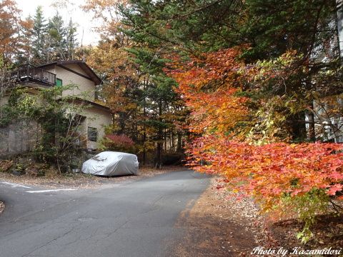 別荘地の紅葉