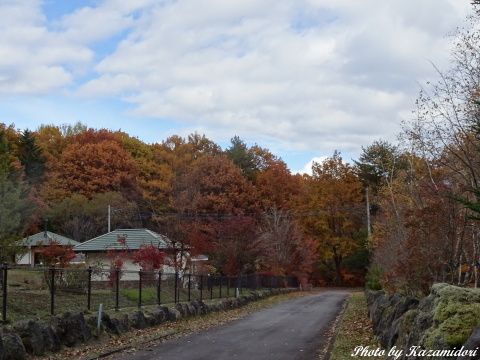 別荘地の紅葉