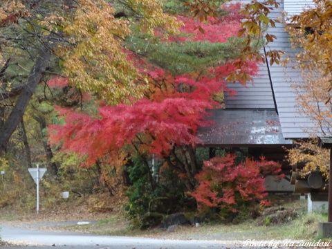 別荘地の紅葉