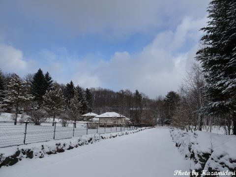 積雪の別荘地