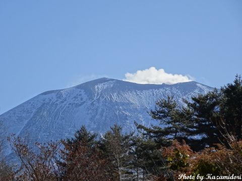 今日の浅間山