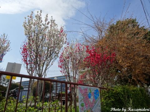 新子安駅近くの公園