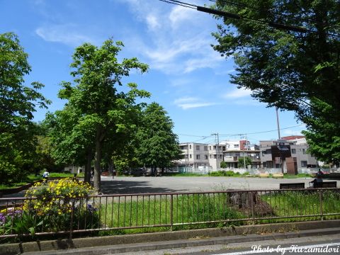 大口近くの公園