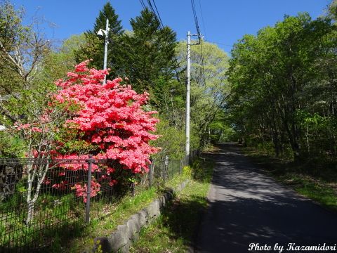 別荘地の風景