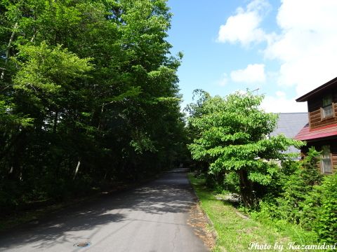 晴れ間が見えた別荘地