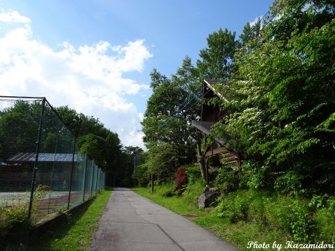 晴れ間が見えた別荘地