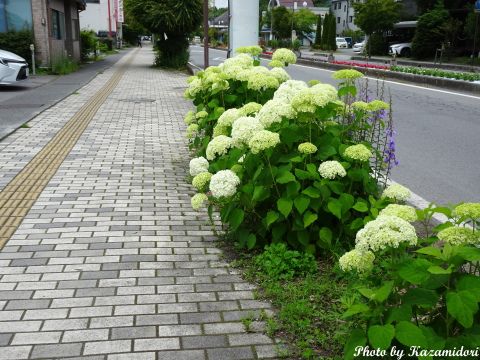 軽井沢の風景