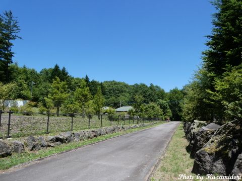 別荘地の風景