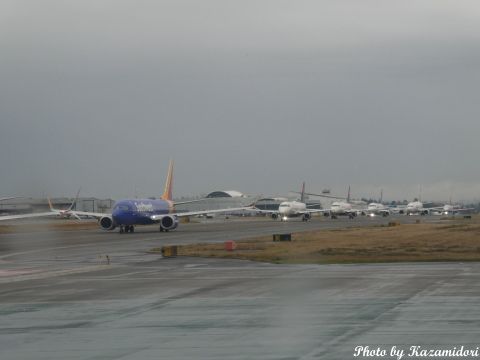 シアトル離陸待ち行列